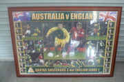 large framed australian & england has photos of all the players